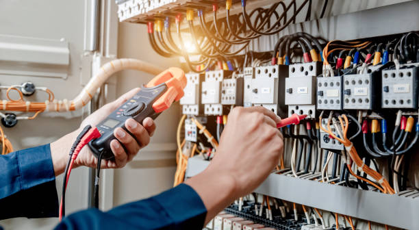 Best Electric Panel Repair  in Carle Place, NY